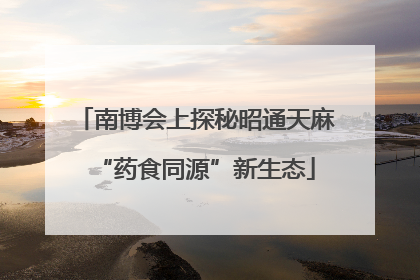 南博会上探秘昭通天麻“药食同源”新生态