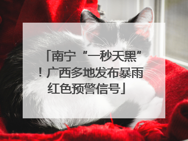 南宁“一秒天黑”！广西多地发布暴雨红色预警信号