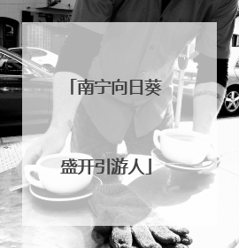 南宁向日葵盛开引游人