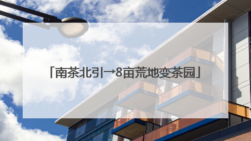 南茶北引→8亩荒地变茶园