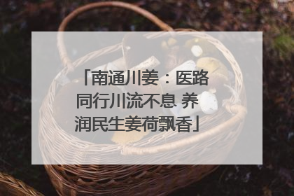 南通川姜：医路同行川流不息 养润民生姜荷飘香