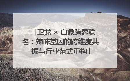 卫龙 × 白象跨界联名：辣味基因的跨维度共振与行业范式重构