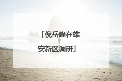 倪岳峰在雄安新区调研