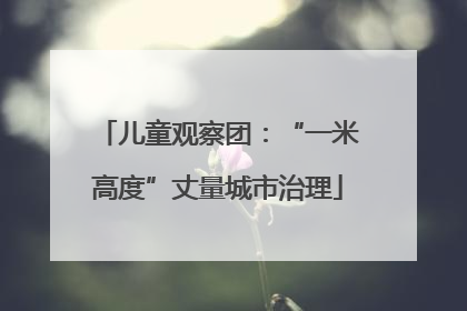 儿童观察团：“一米高度”丈量城市治理