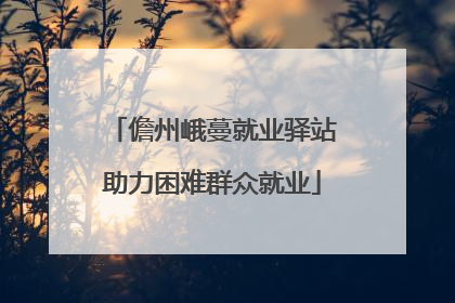 儋州峨蔓就业驿站助力困难群众就业