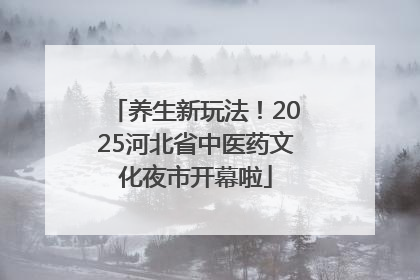 养生新玩法！2025河北省中医药文化夜市开幕啦