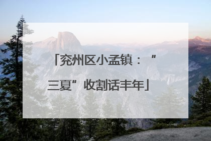 兖州区小孟镇：“三夏”收割话丰年