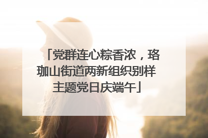 党群连心粽香浓，珞珈山街道两新组织别样主题党日庆端午