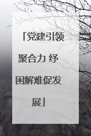 党建引领聚合力 纾困解难促发展