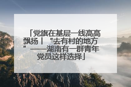 党旗在基层一线高高飘扬丨“去有村的地方”——湖南有一群青年党员这样选择