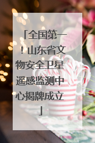 全国第一！山东省文物安全卫星遥感监测中心揭牌成立
