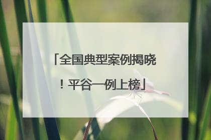 全国典型案例揭晓！平谷一例上榜