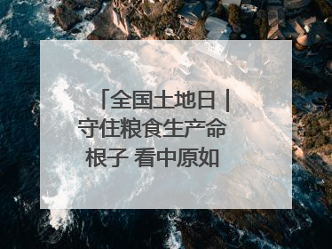 全国土地日｜守住粮食生产命根子 看中原如何“耕”新