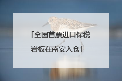 全国首票进口保税岩板在南安入仓