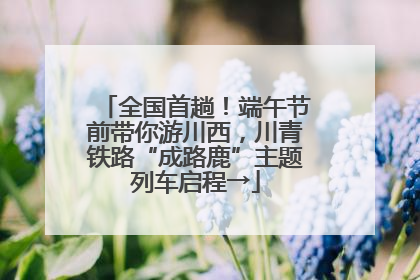 全国首趟！端午节前带你游川西，川青铁路“成路鹿”主题列车启程→