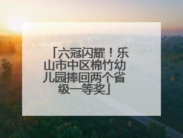 六冠闪耀！乐山市中区棉竹幼儿园捧回两个省级一等奖