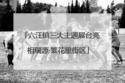 六汪镇三大主题展台亮相瑞源·繁花里街区