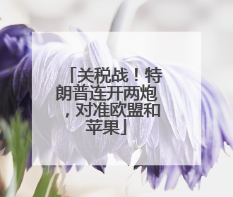 关税战！特朗普连开两炮，对准欧盟和苹果