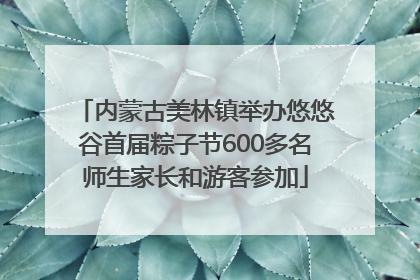 内蒙古美林镇举办悠悠谷首届粽子节600多名师生家长和游客参加