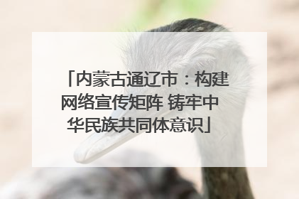内蒙古通辽市：构建网络宣传矩阵 铸牢中华民族共同体意识