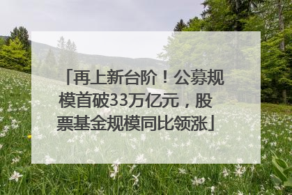 再上新台阶！公募规模首破33万亿元，股票基金规模同比领涨
