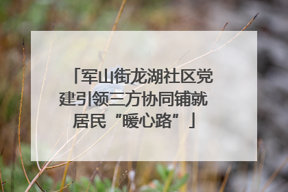 军山街龙湖社区党建引领三方协同铺就居民“暖心路”
