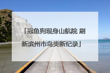 冠鱼狗现身山航院 刷新滨州市鸟类新纪录
