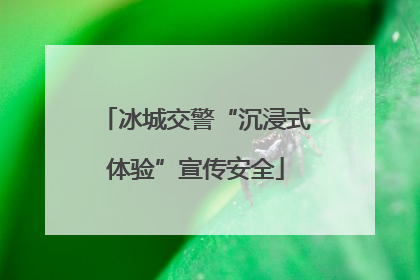 冰城交警“沉浸式体验”宣传安全