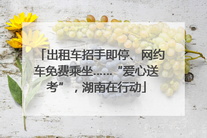 出租车招手即停、网约车免费乘坐……“爱心送考”，湖南在行动