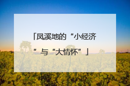 凤溪地的“小经济”与“大情怀”