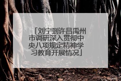 刘宁到许昌禹州市调研深入贯彻中央八项规定精神学习教育开展情况