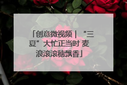 创意微视频｜“三夏”大忙正当时 麦浪滚滚穗飘香