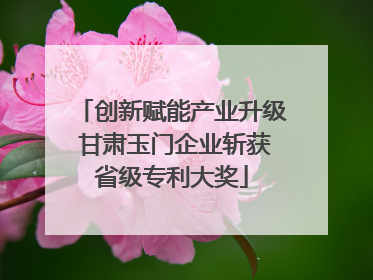 创新赋能产业升级 甘肃玉门企业斩获省级专利大奖