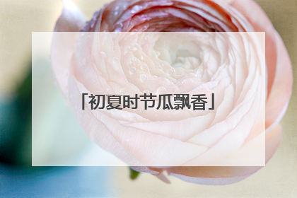 初夏时节瓜飘香