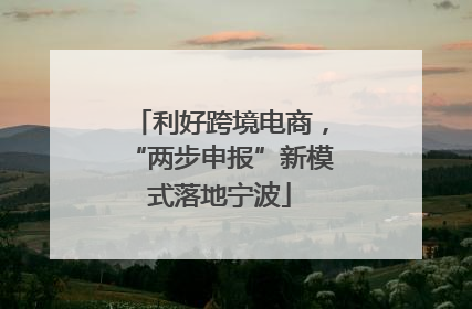 利好跨境电商，“两步申报”新模式落地宁波