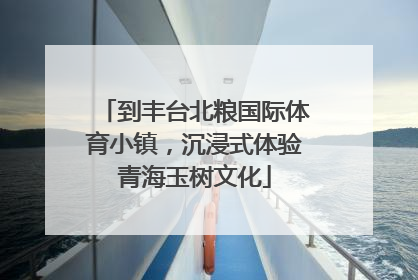 到丰台北粮国际体育小镇，沉浸式体验青海玉树文化