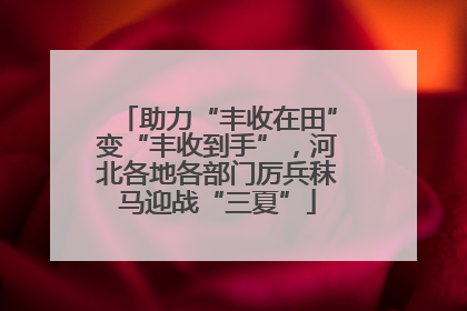 助力“丰收在田”变“丰收到手”，河北各地各部门厉兵秣马迎战“三夏”