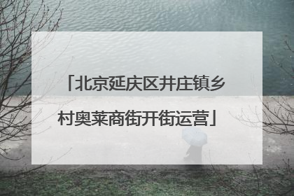 北京延庆区井庄镇乡村奥莱商街开街运营
