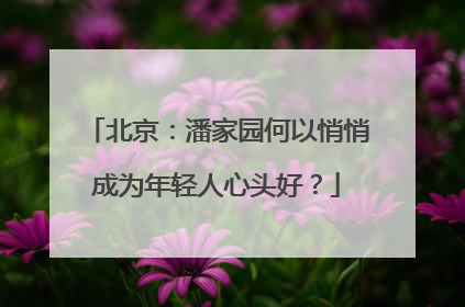北京：潘家园何以悄悄成为年轻人心头好？