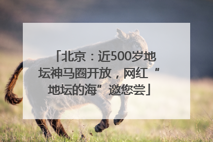 北京：近500岁地坛神马圈开放，网红“地坛的海”邀您尝