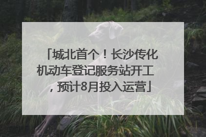 城北首个！长沙传化机动车登记服务站开工，预计8月投入运营