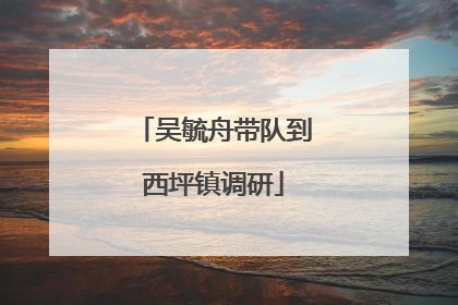 吴毓舟带队到西坪镇调研