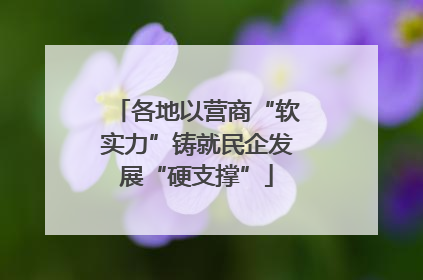 各地以营商“软实力”铸就民企发展“硬支撑”