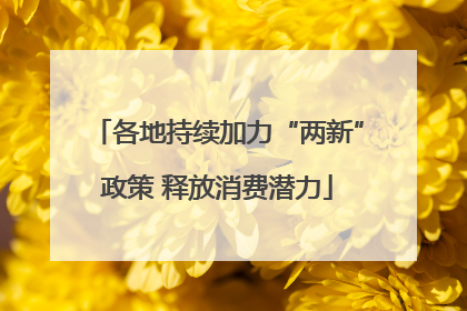 各地持续加力“两新”政策 释放消费潜力