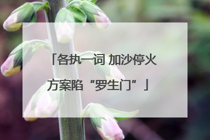 各执一词 加沙停火方案陷“罗生门”