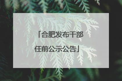 合肥发布干部任前公示公告