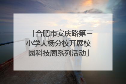 合肥市安庆路第三小学大杨分校开展校园科技周系列活动