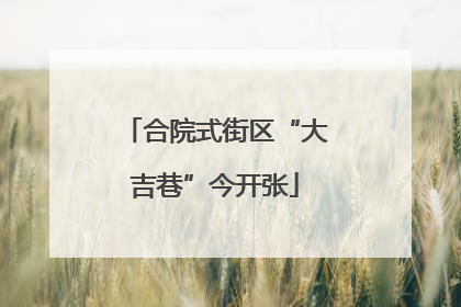 合院式街区“大吉巷”今开张