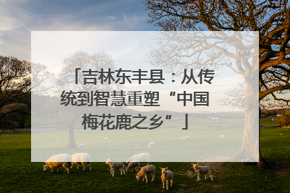 吉林东丰县：从传统到智慧重塑“中国梅花鹿之乡”