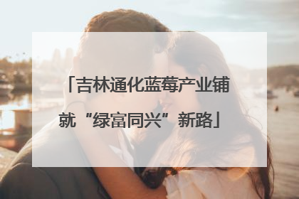 吉林通化蓝莓产业铺就“绿富同兴”新路